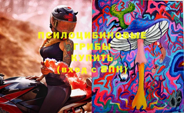 марки lsd Белокуриха