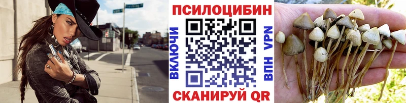 Псилоцибиновые грибы MAGIC MUSHROOMS Славгород